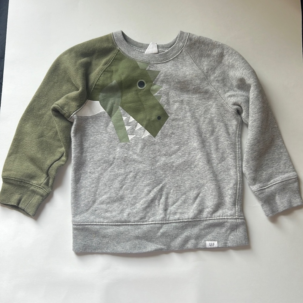 Boys green and gray Gap dinosaur sweatshirt
